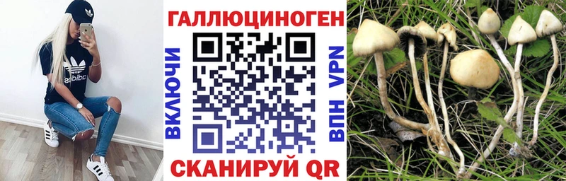 Псилоцибиновые грибы ЛСД  Гудермес 
