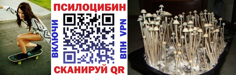 Псилоцибиновые грибы ЛСД Гудермес
