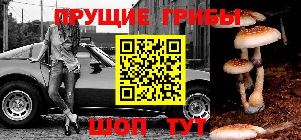 Псилоцибиновые грибы мицелий Гудермес