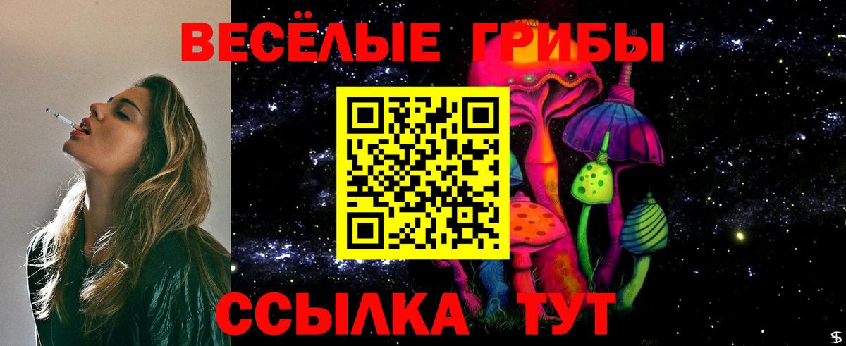 наркошоп  Вход с VPN  Гудермес  Псилоцибиновые грибы прущие грибы 